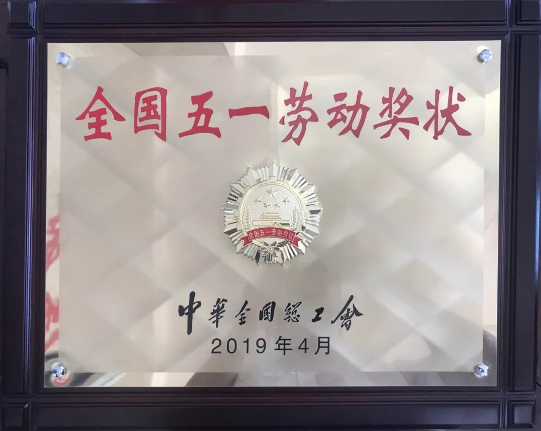 维多利亚老品牌vic(集团)官方网站