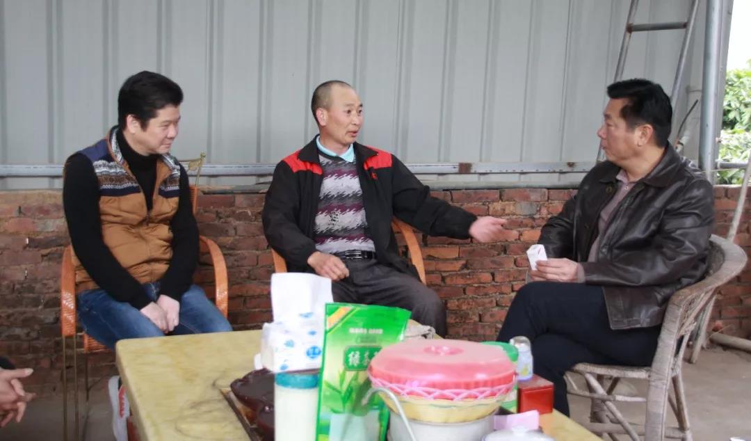 维多利亚老品牌vic(集团)官方网站