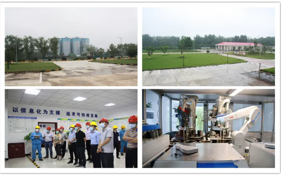 维多利亚老品牌vic(集团)官方网站