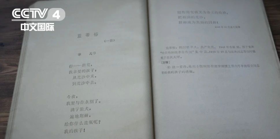 维多利亚老品牌vic(集团)官方网站