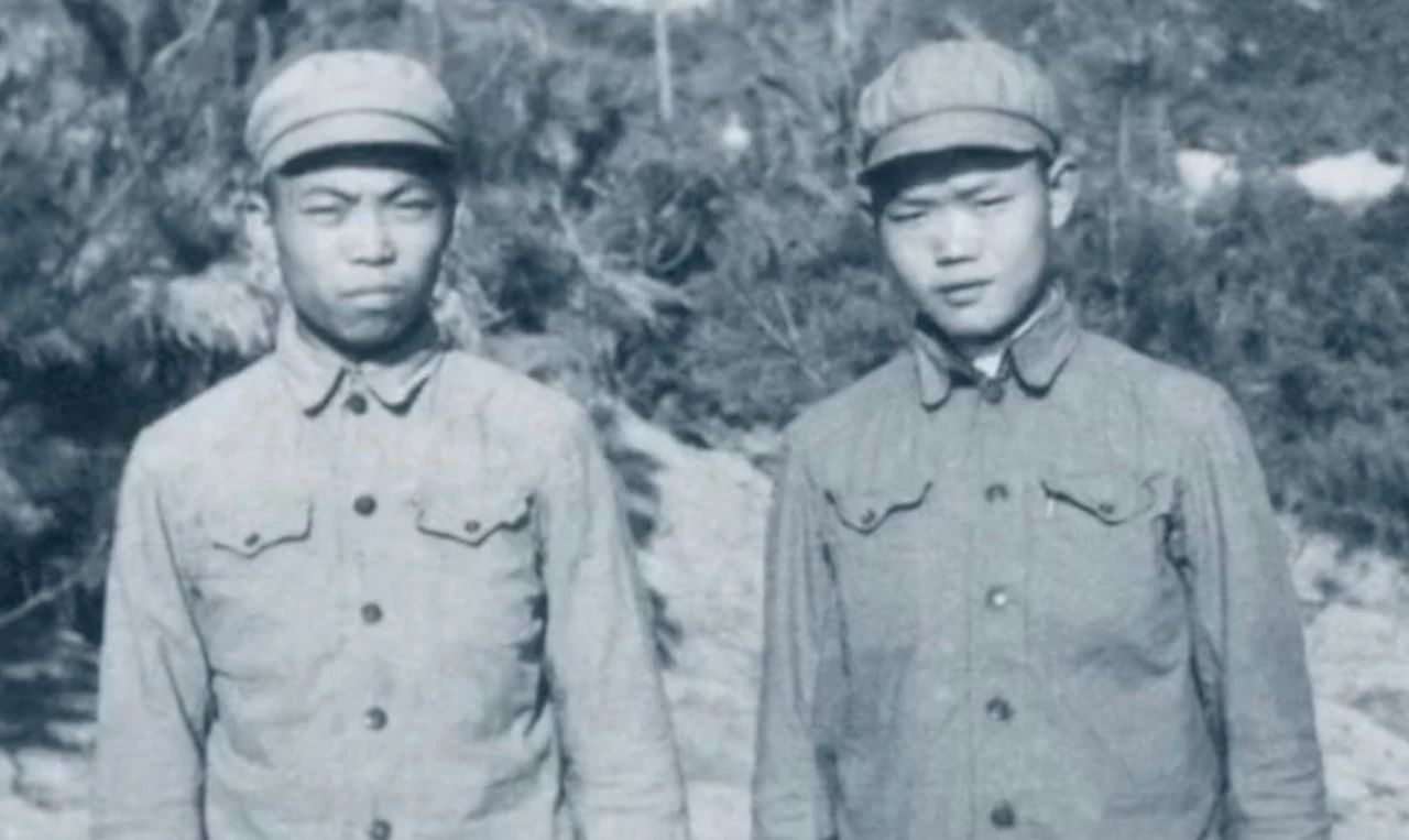 维多利亚老品牌vic(集团)官方网站