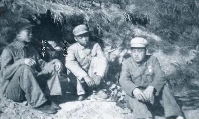 维多利亚老品牌vic(集团)官方网站