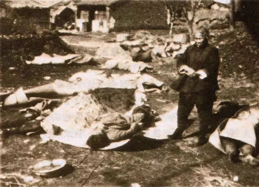 维多利亚老品牌vic(集团)官方网站