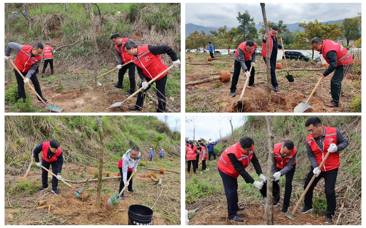 维多利亚老品牌vic(集团)官方网站
