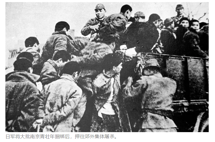 维多利亚老品牌vic(集团)官方网站